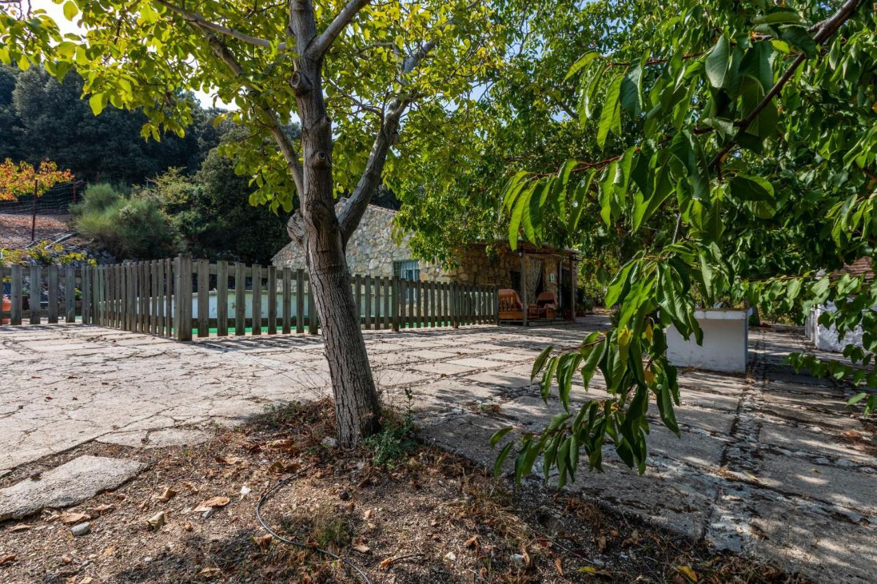 Casa Jurinea Guest House Torres  Luaran gambar